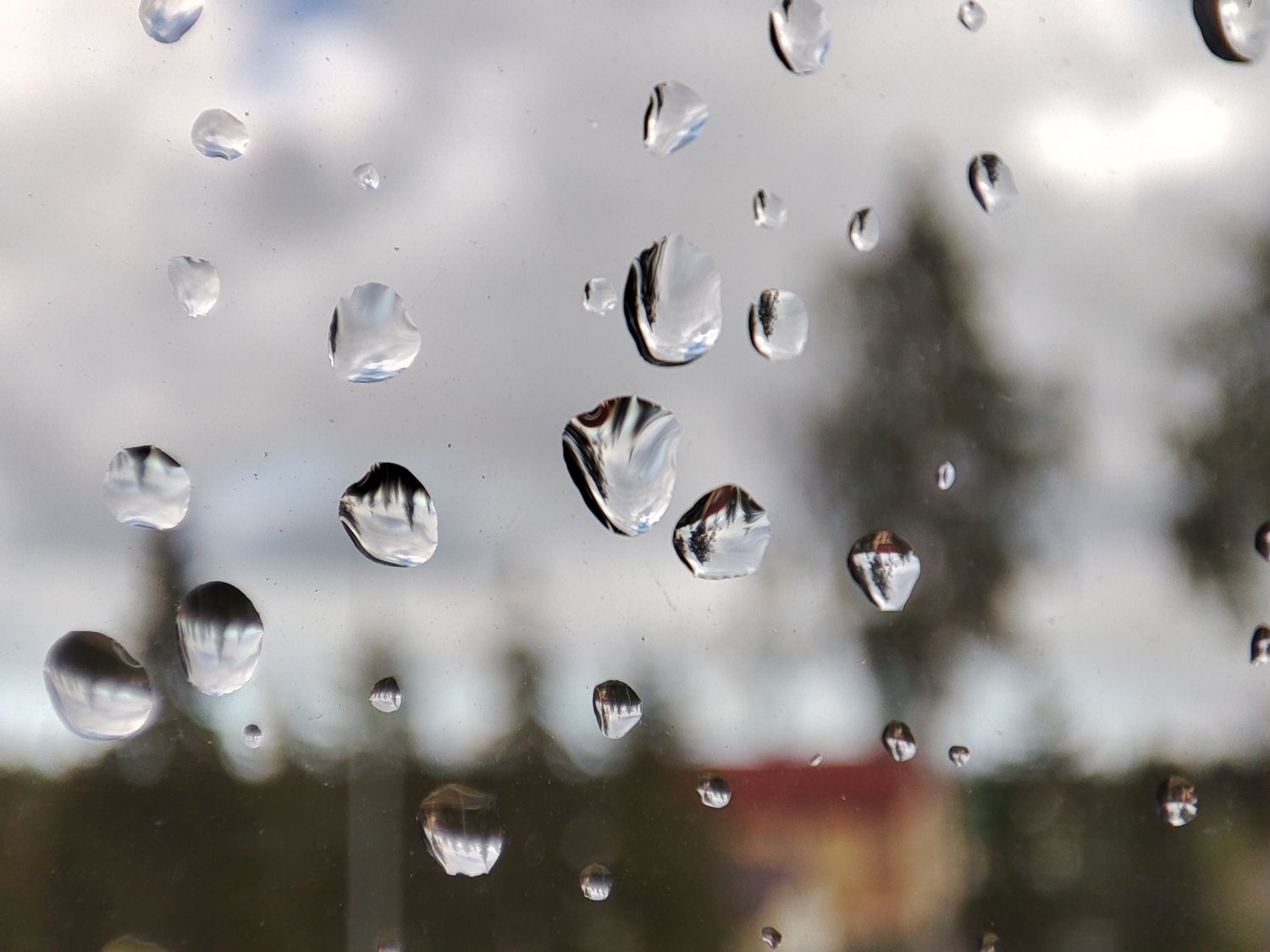 Короткое бабье лето в Карелии сменят дожди
