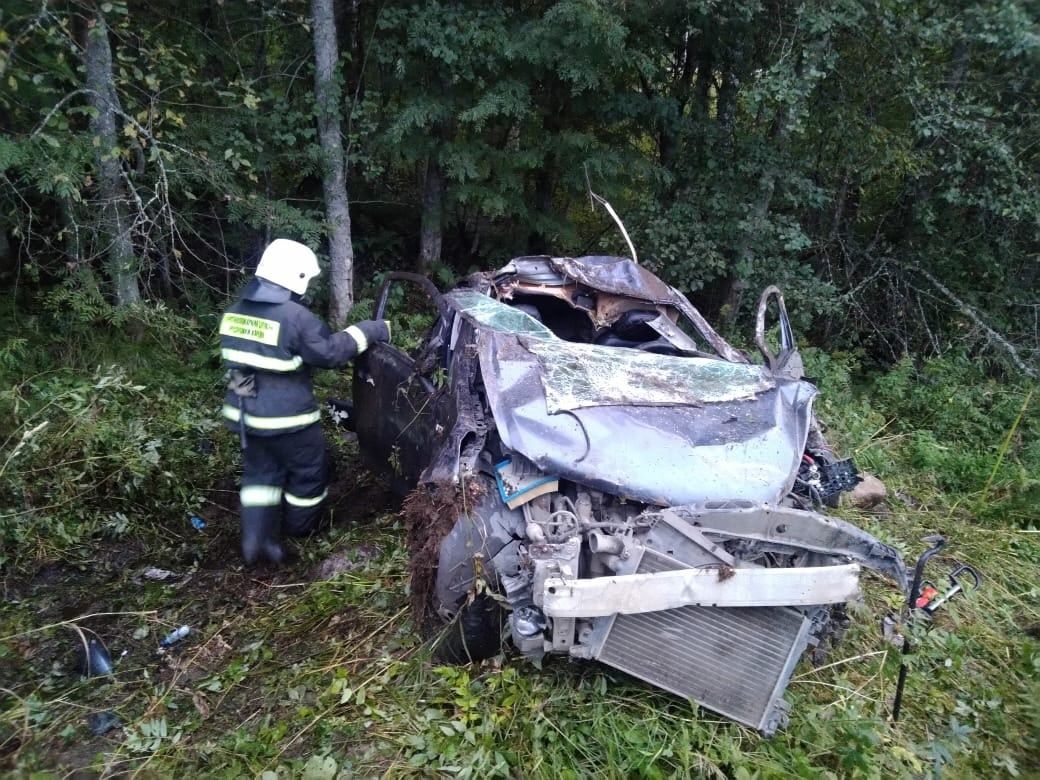 В Пряжинском районе автомобиль вылетел с дороги и разбился всмятку