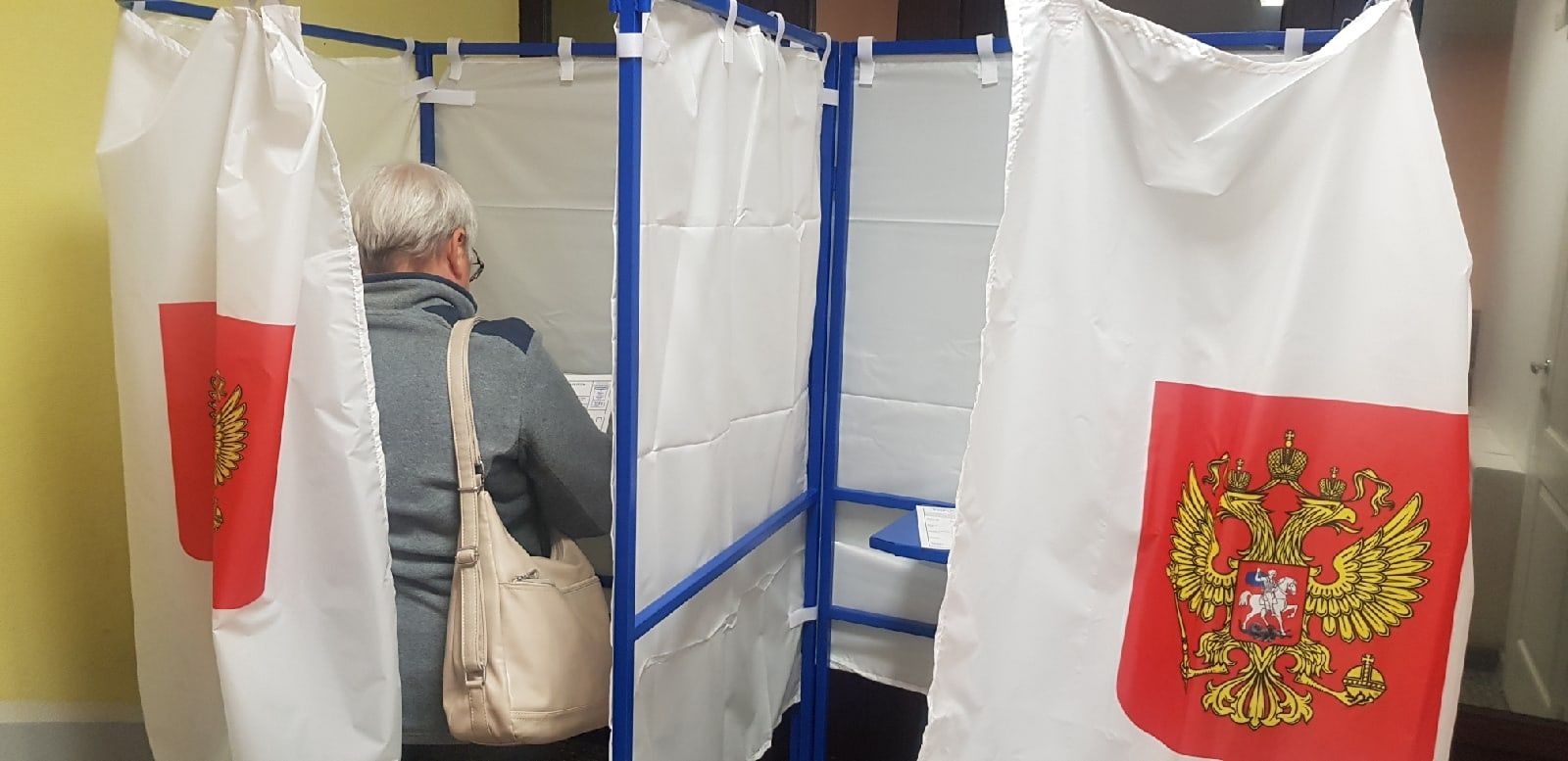Действующий глава Карелии лидирует на выборах после обработки 4% протоколов