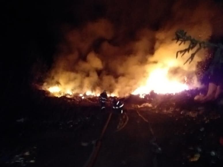 В Пряжинском районе в лесу загорелась мусорная свалка