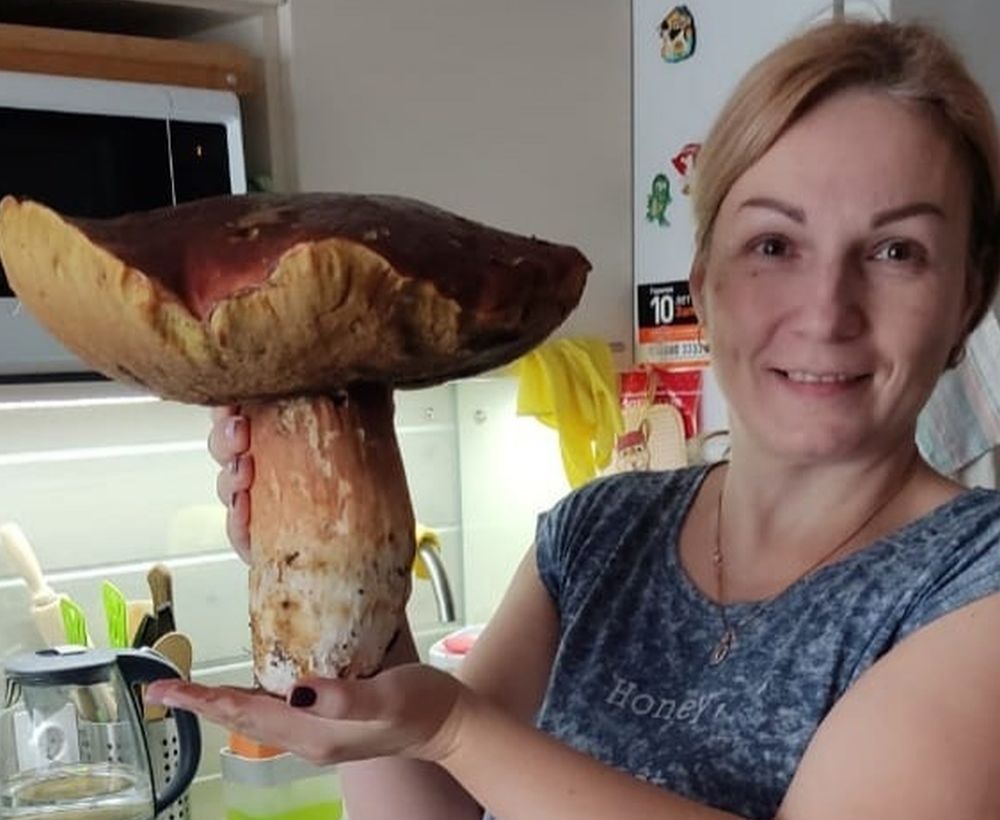 Гигантский белый гриб нашли в Карелии