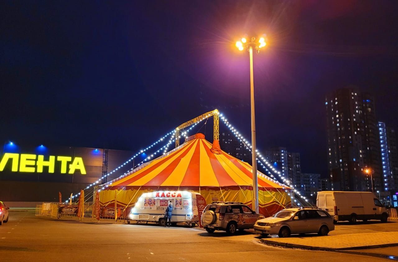 В Петрозаводск приехал цирк без животных