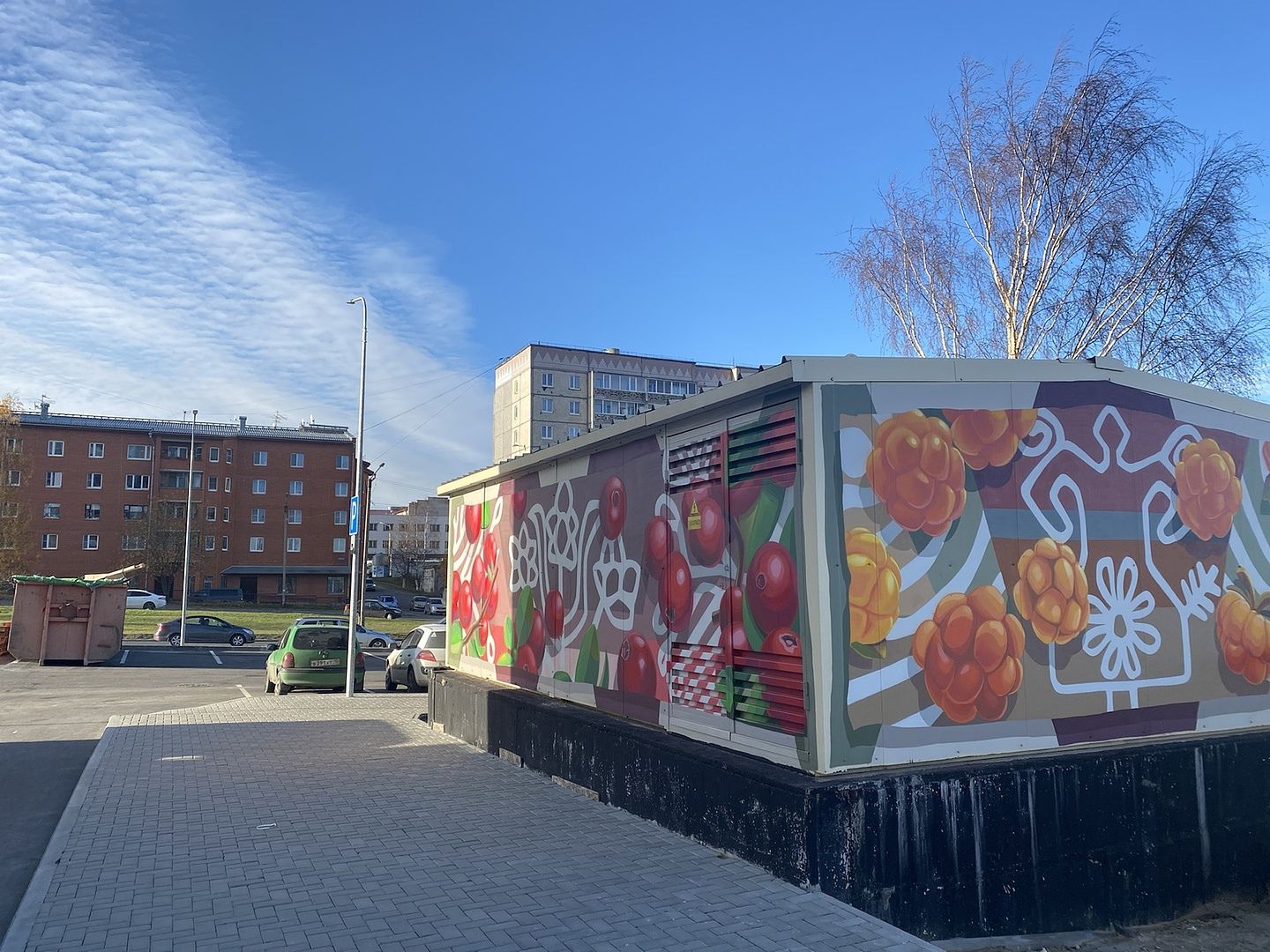 Трансформаторную подстанцию в Петрозводске украсило граффити с ягодами и карельскими мотивами
