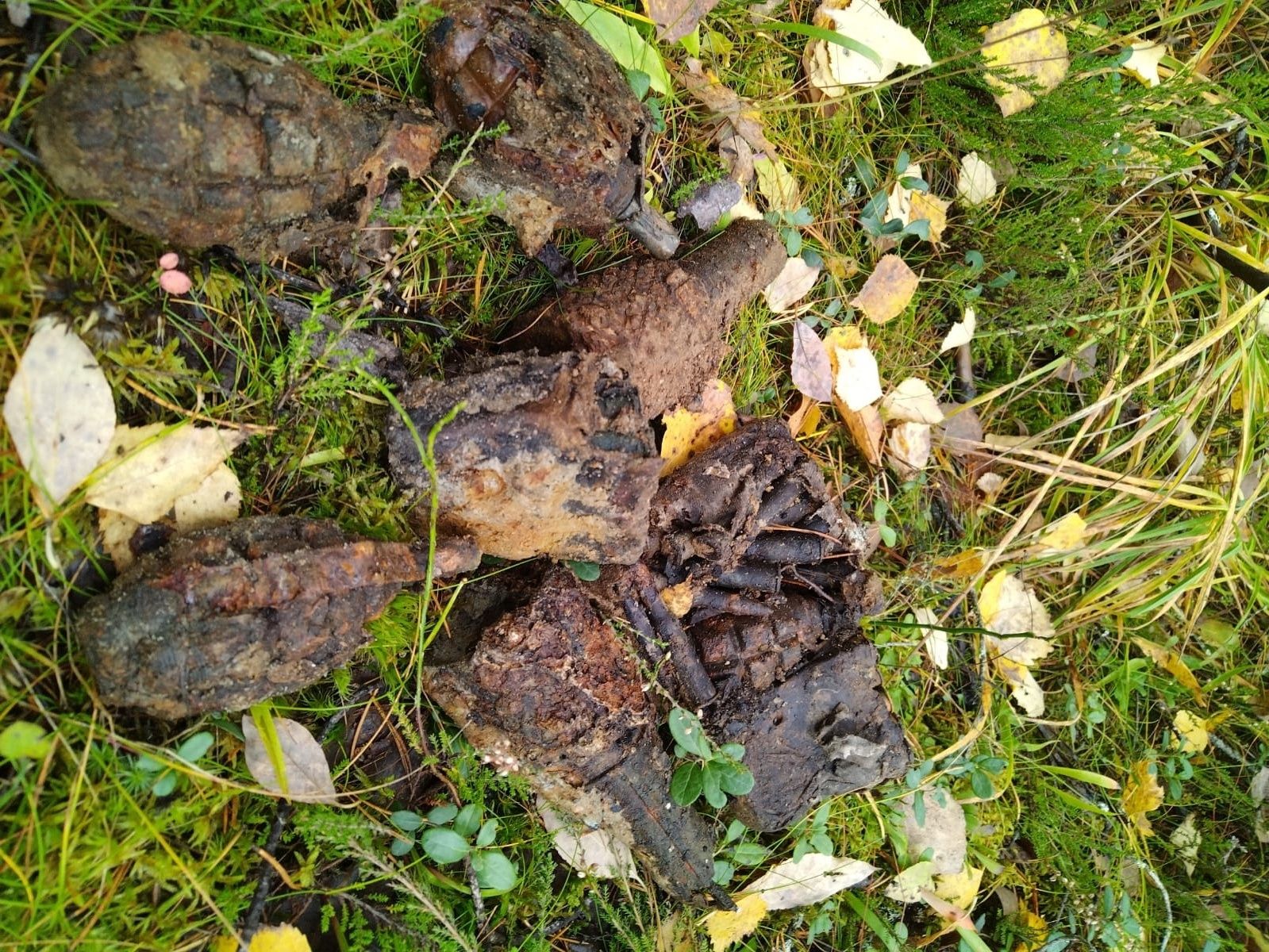 В лесах Карелии обнаружили ручные гранаты, артиллерийский снаряд и минометную мину