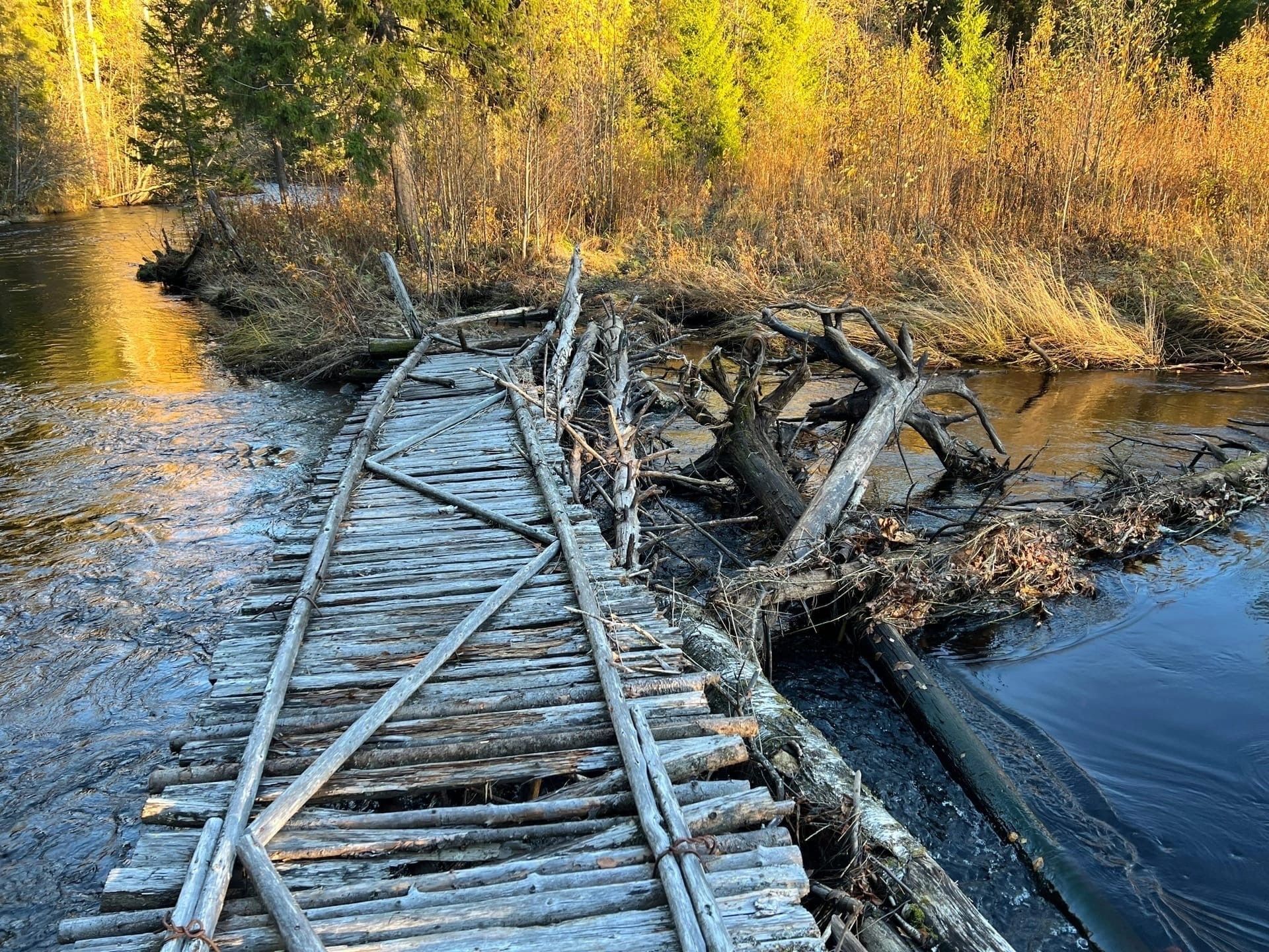 Аварийный мост у второго фонтана на Лососинке планируют заменить на веревочный