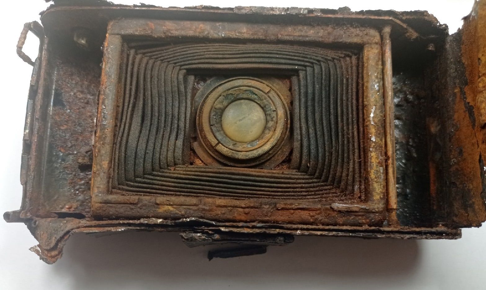 Поисковики нашли в Лоухском районе фотоаппарат времен Великой Отечественной войны