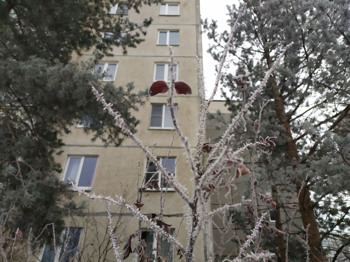 Температура ночью местами опустится до -16°С. Прогноз погоды на 1 декабря