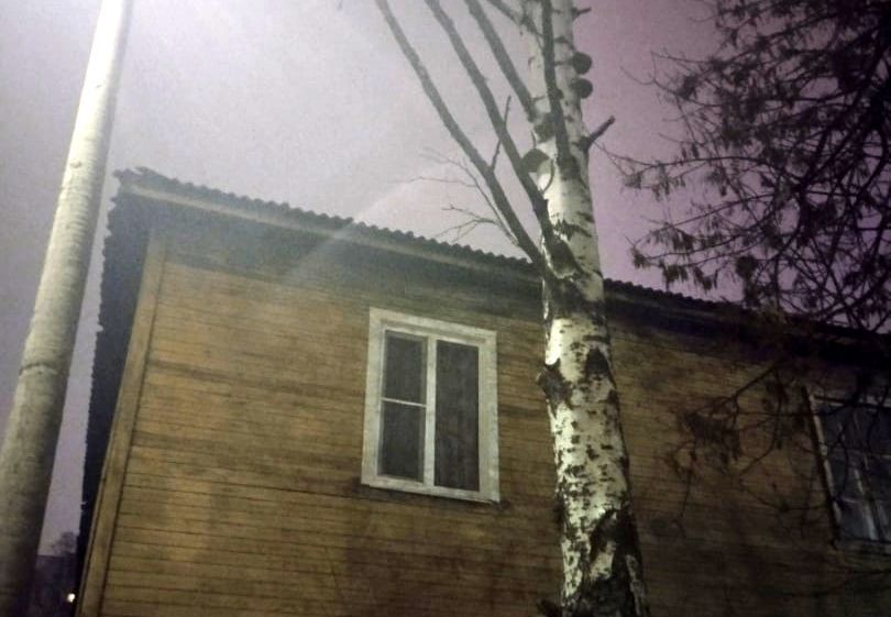 Часть аварийного дерева обрушилась в Петрозаводске