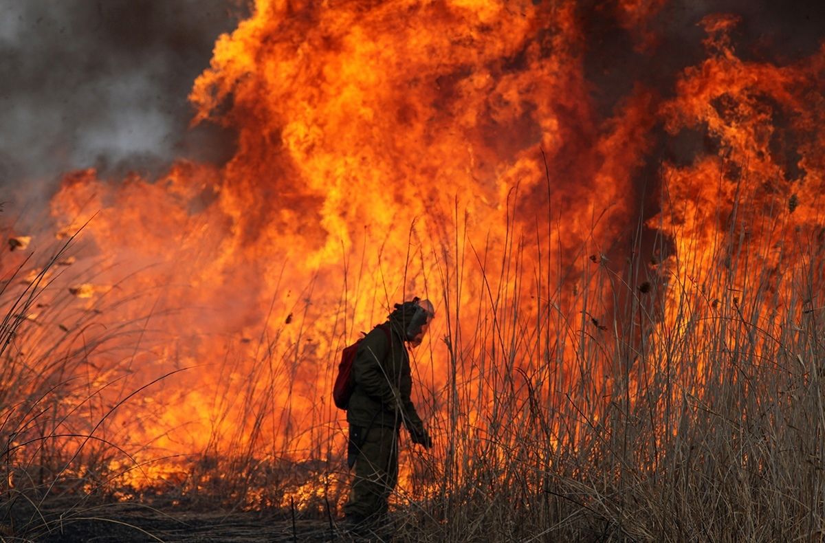Карелия вошла в ТОП-5 регионов, которые лучше всего справились в лесными пожарами