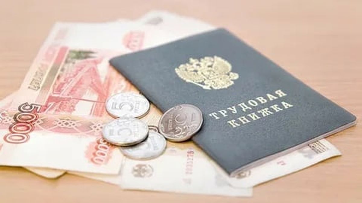 Пособие по безработице получали пять работающих жителей Петрозаводска
