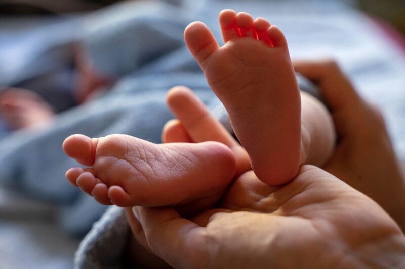 В Карелии с начала года родилось 3696 малышей
