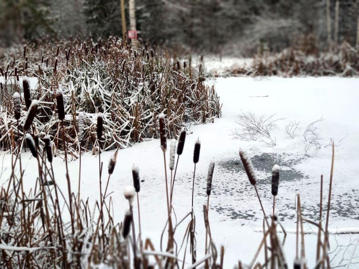 До минус 16. Прогноз погоды в Карелии на 22 ноября