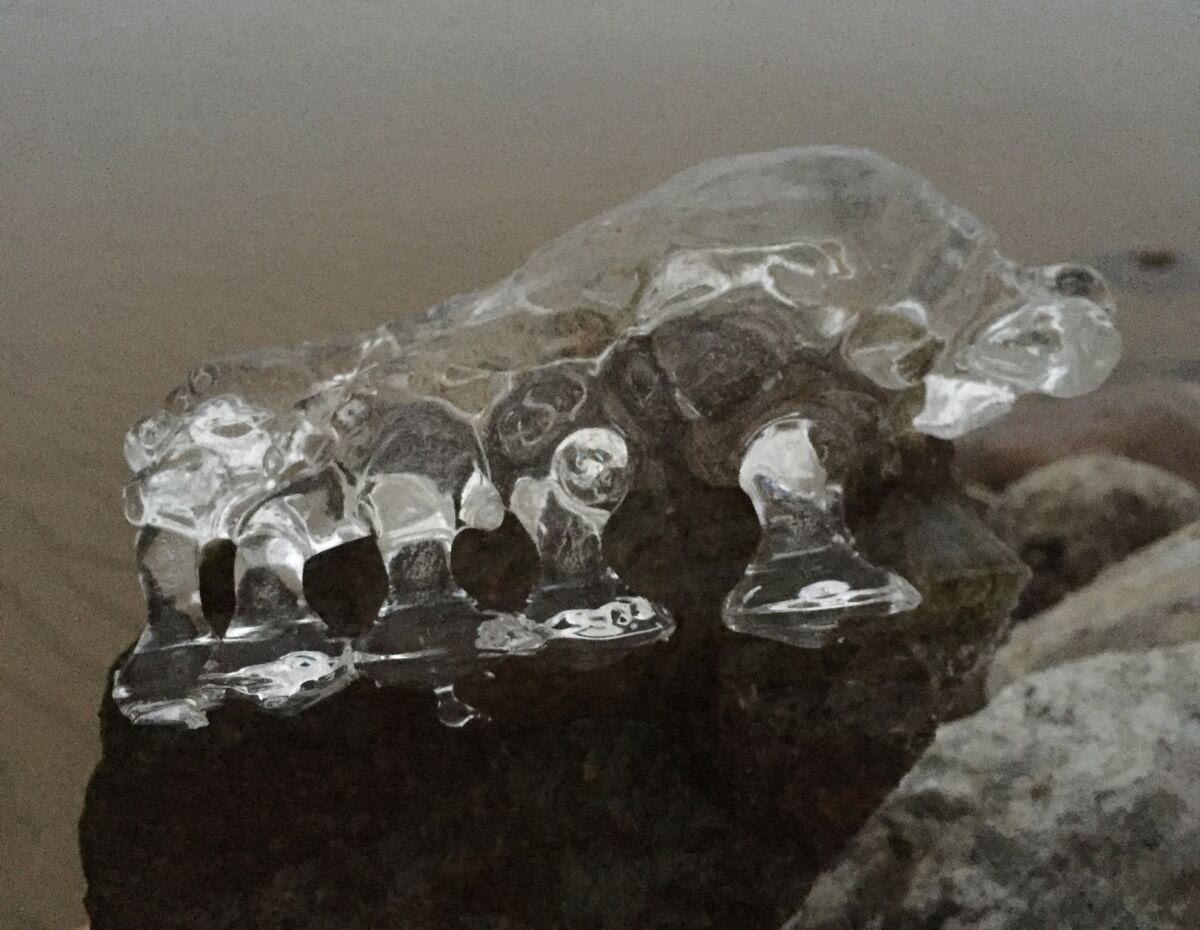Жители Медвежьегорского района сфотографировали загадочного ледяного «пришельца»