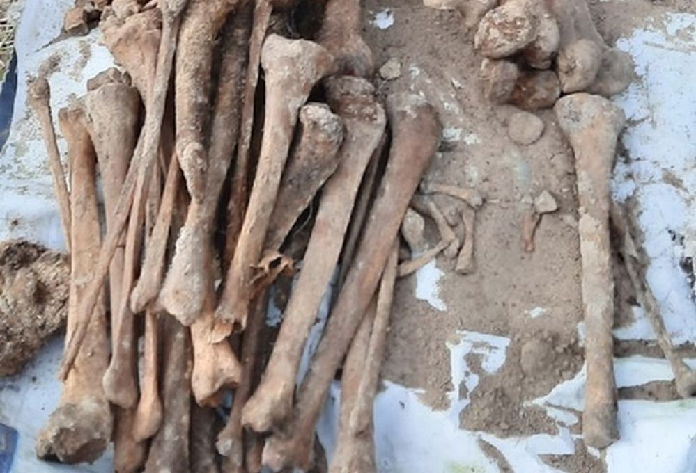 В центре Петрозаводска коммунальщики обнаружили человеческие кости