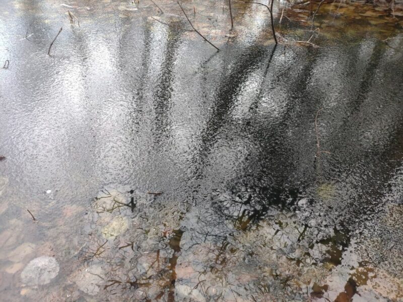 Облачно, возможны осадки. Прогноз на 6 ноября Облачно, возможны осадки. Прогноз на 6 ноября