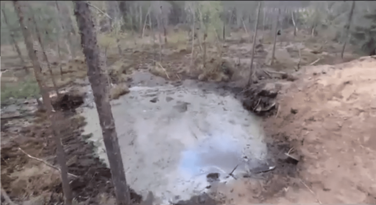 Природоохранная прокуратура не обнаружила захоронения форели в Муезерском районе