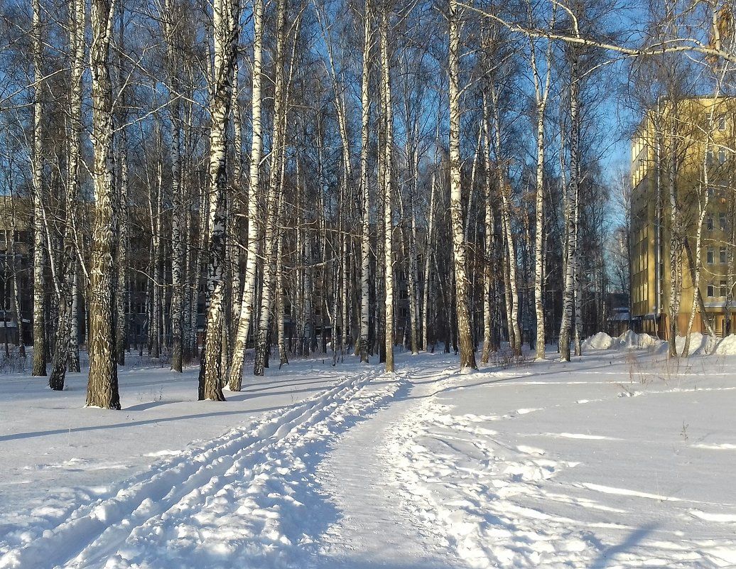 Житель Медвежьегорского района хотел заработать, а попал на штраф