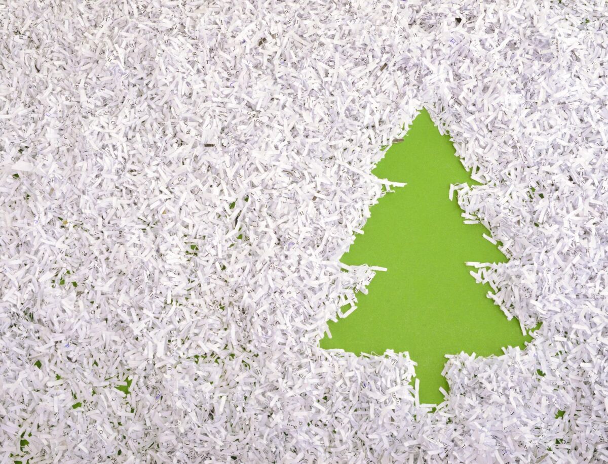 Как встретить новый год экологично? Собрали советы от экоактивистов