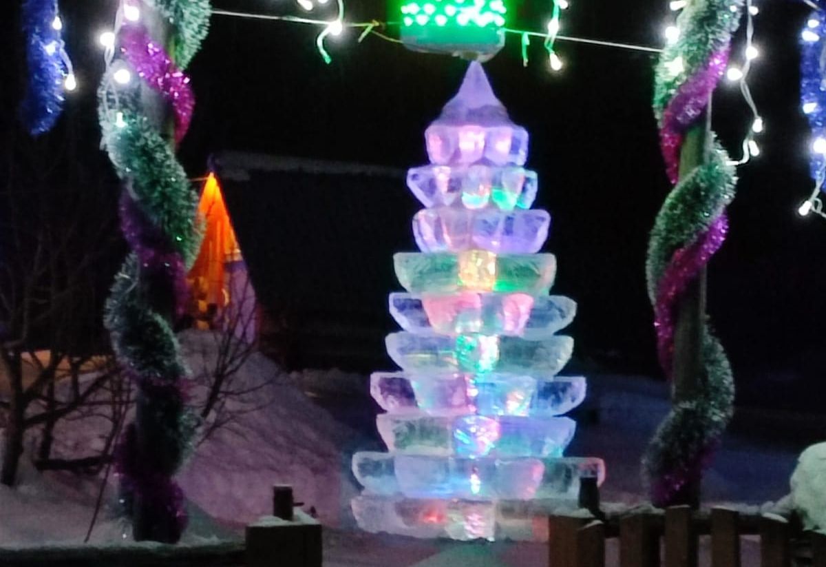 В карельской деревне местные жители установили ледяную ель