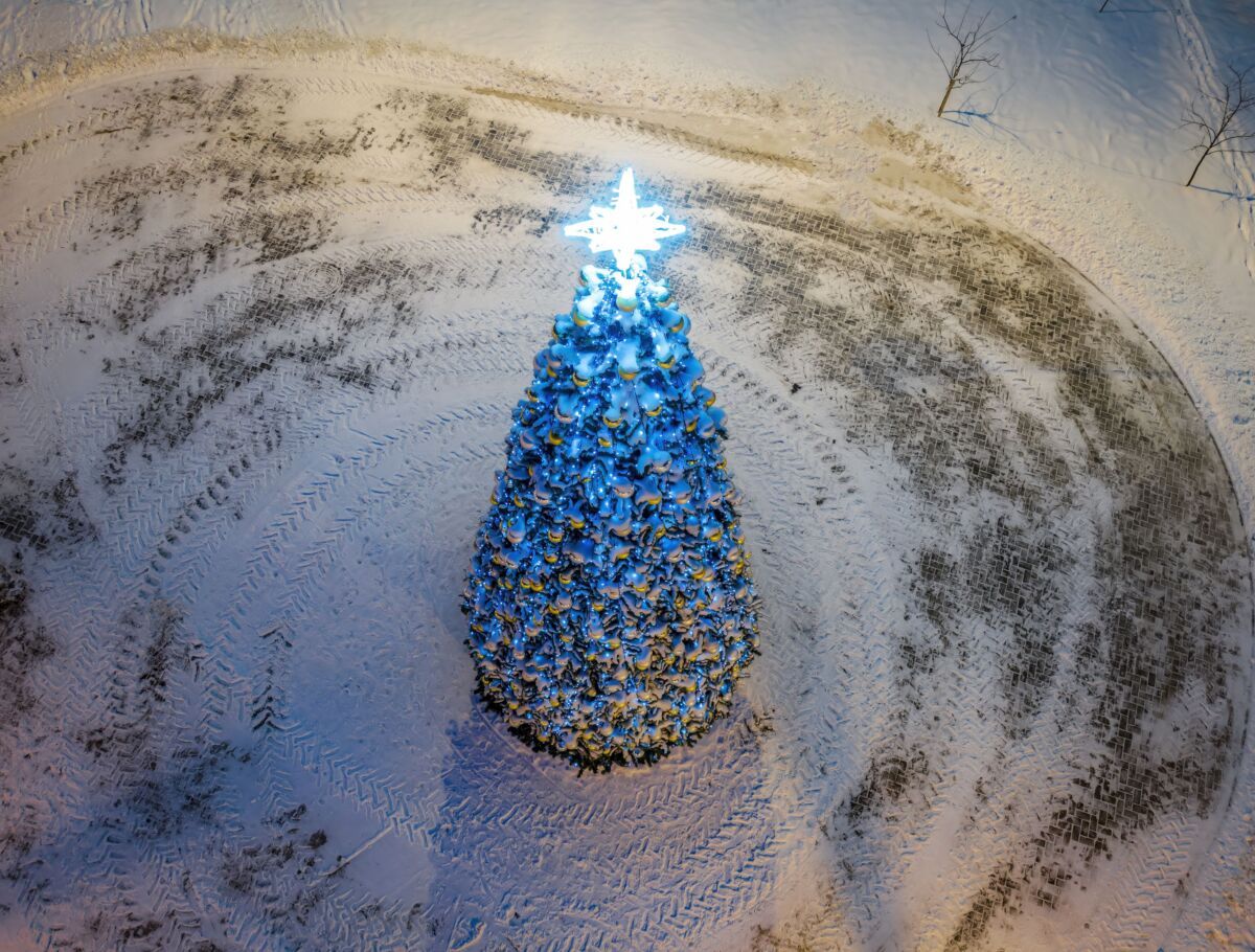 В Петрозаводске установили первую новогоднюю елку