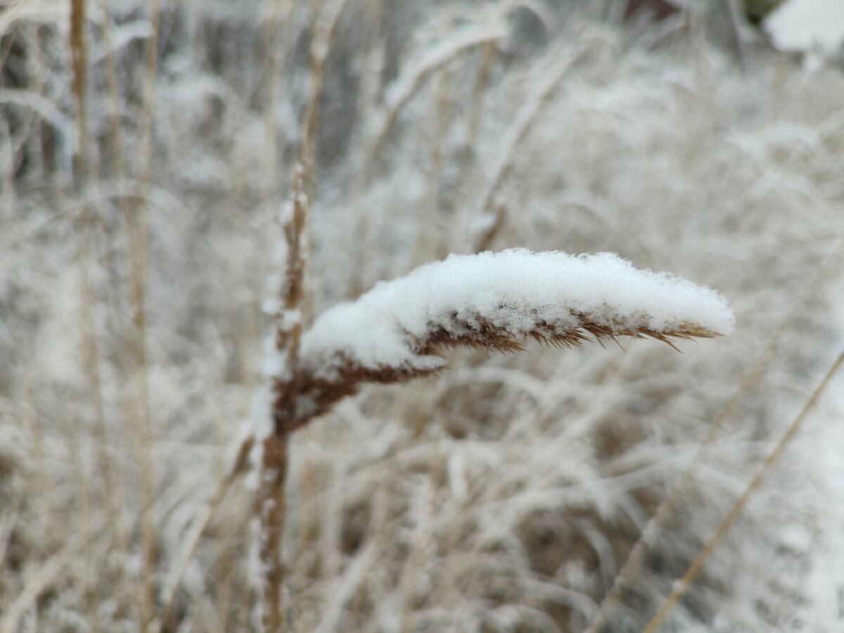 Снег и гололедица: прогноз погоды на 10 декабря
