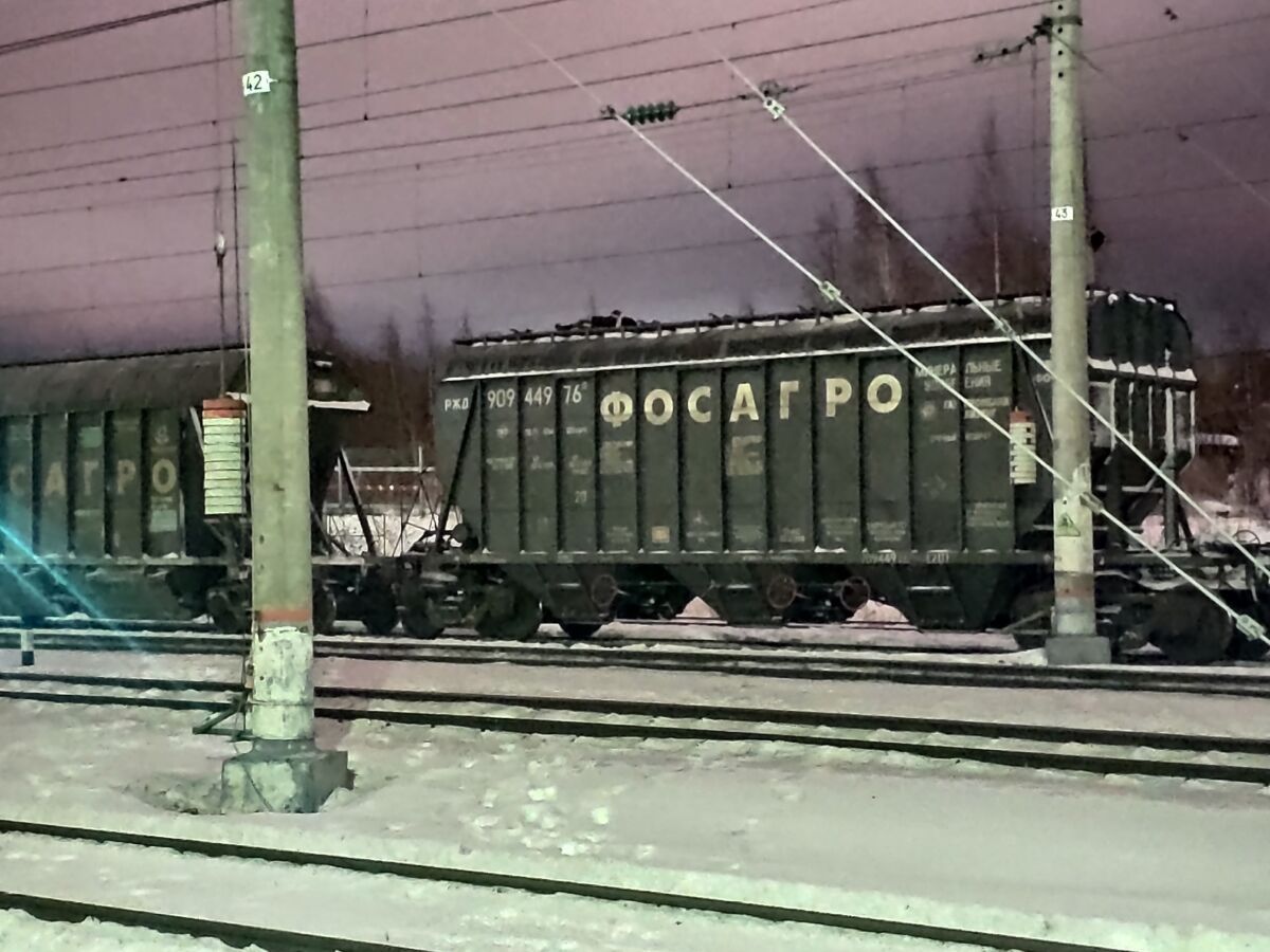 В Петрозаводске девочка-подросток погибла на железной дороге