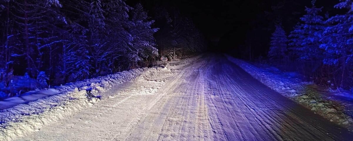 В Пудожском районе водитель иномарки съехал в кювет и разбился насмерть