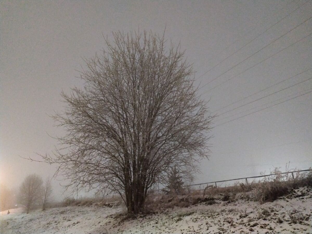 Ночью до -10°С, днем до -7°С. Прогноз погоды на 9 декабря