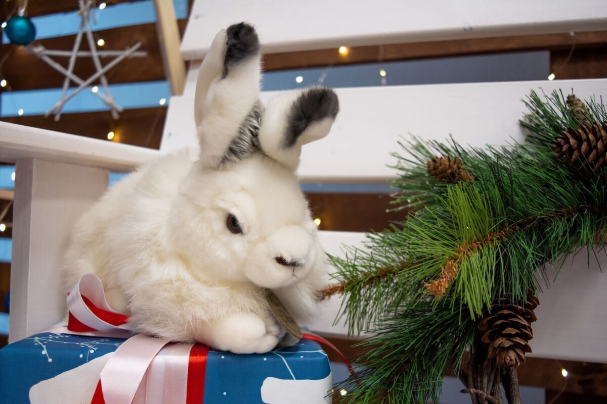 Россияне готовы меньше тратить на подарки к Новому году, чем в прошлом году