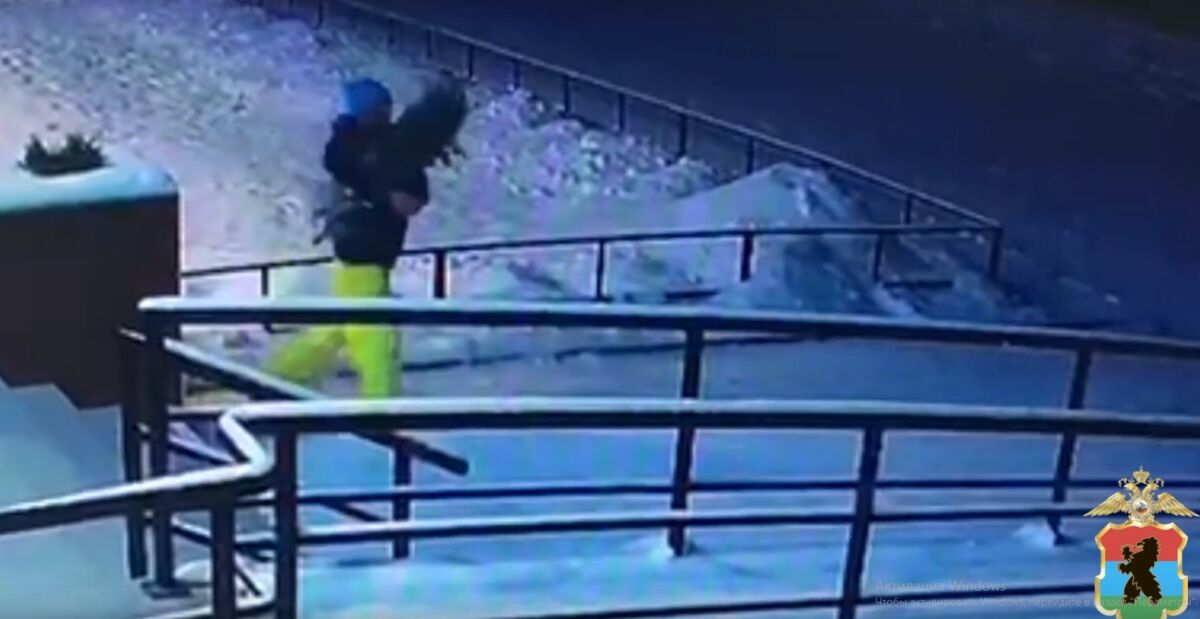 В Петрозаводске разыскивают похитительницу туи