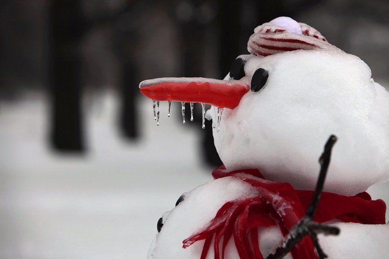 Гиперборейский конкурс снеговиков рискует остаться без основного материала