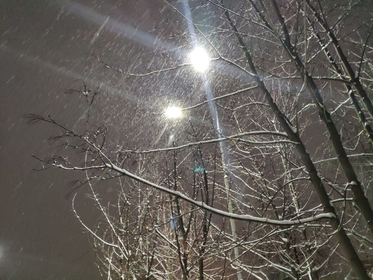 Снег, метель, но есть и плюсы. Прогноз погоды в Карелии на 11 января