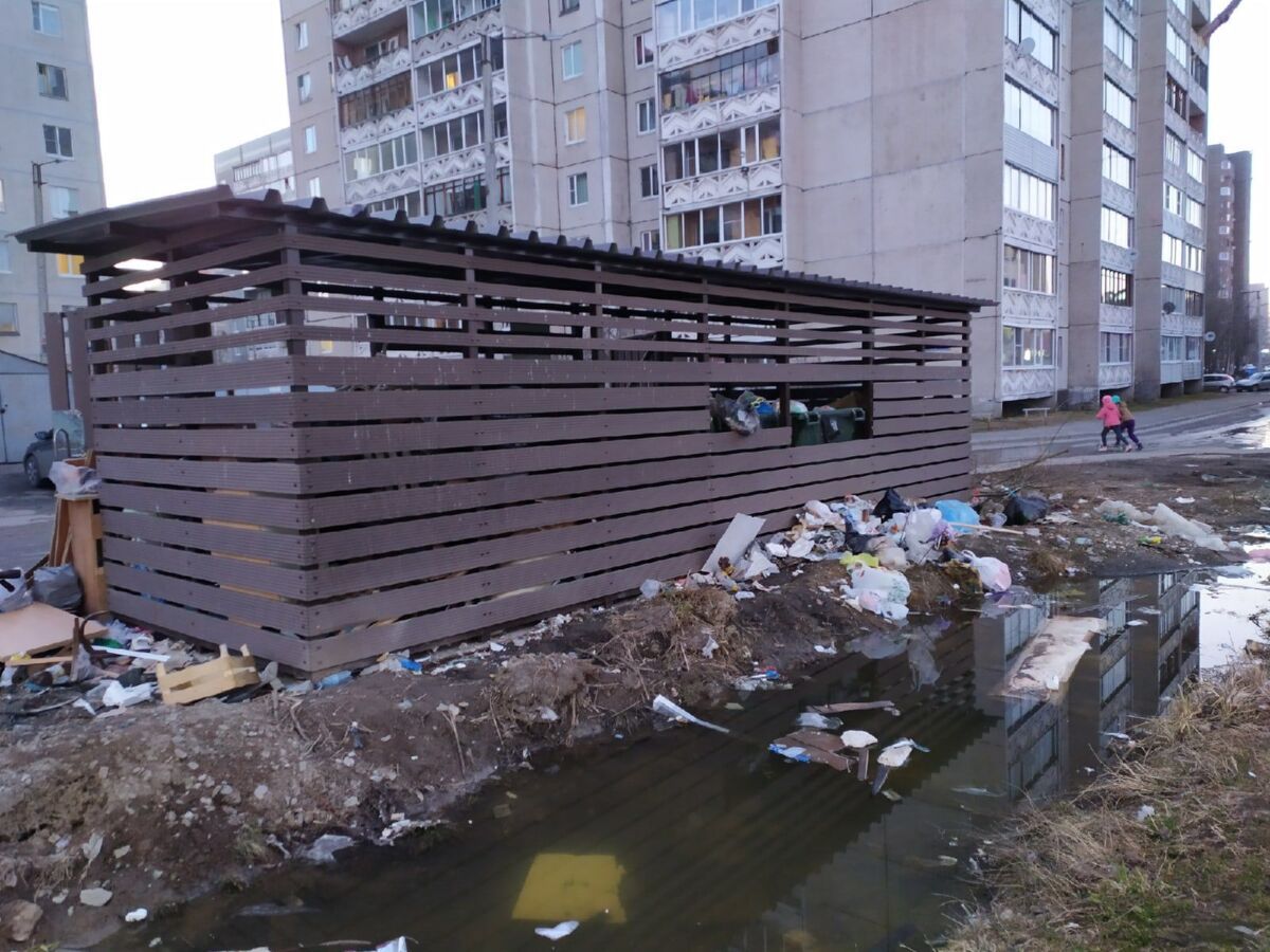 Жители Петрозаводска жалуются на переполненные мусорные контейнеры