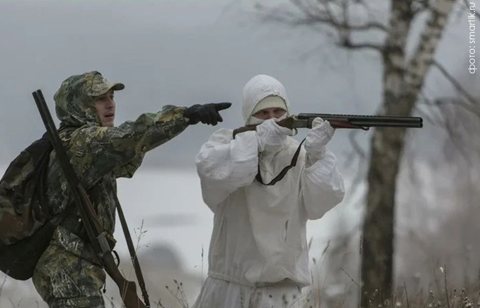 В выходные в Пряжинском районе добыли волка