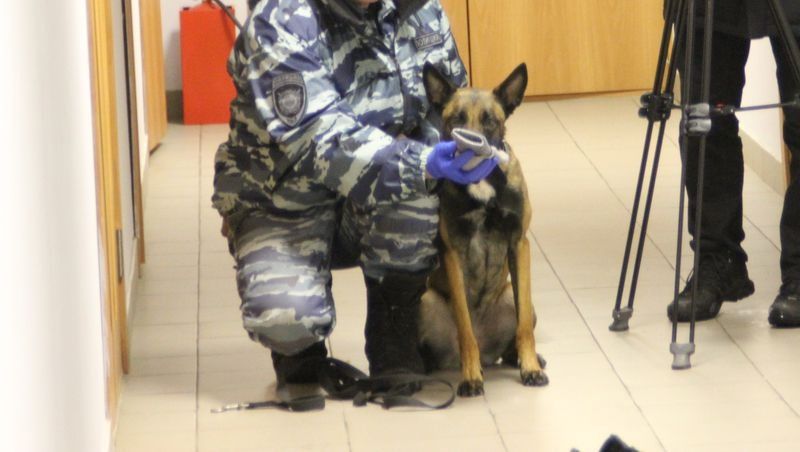 Бельгийская овчарка нашла любителя крепкого алкоголя в Петрозаводске