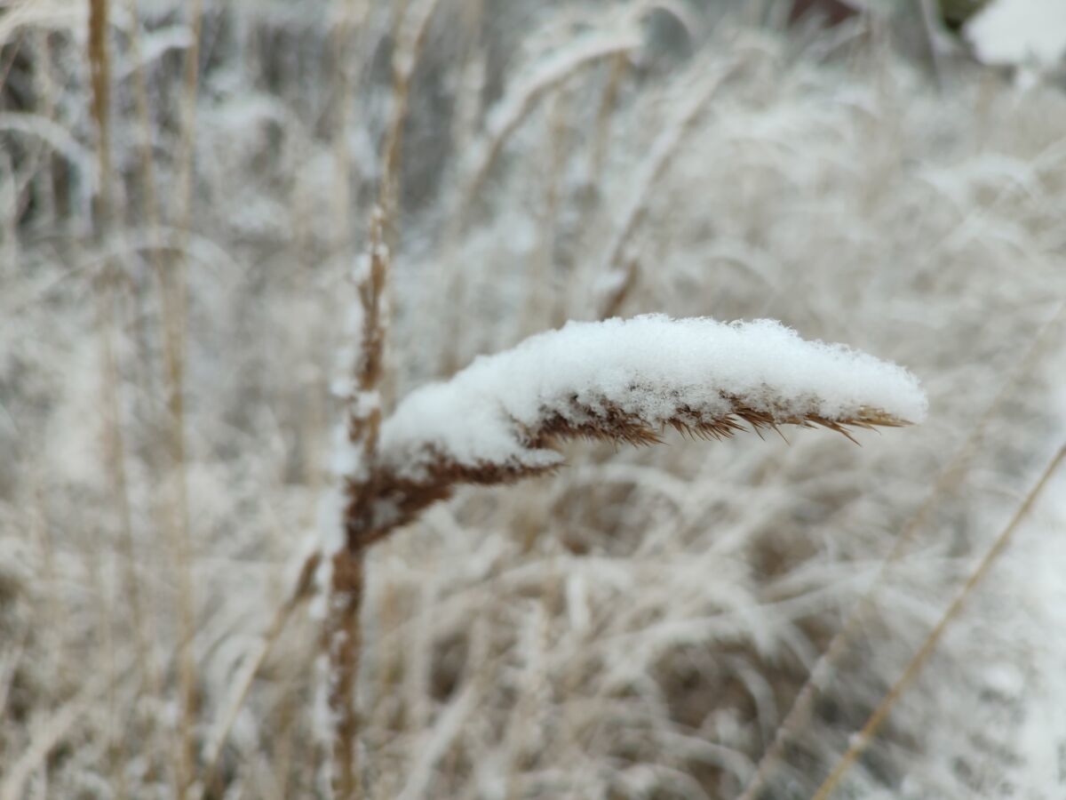 В Карелии резко похолодает. Прогноз погоды на 27 января
