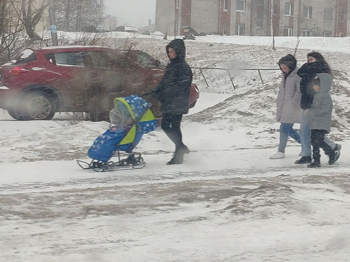 Мокрый снег и порывистый ветер обещают в Карелии в воскресенье. Прогноз погоды на 15 января
