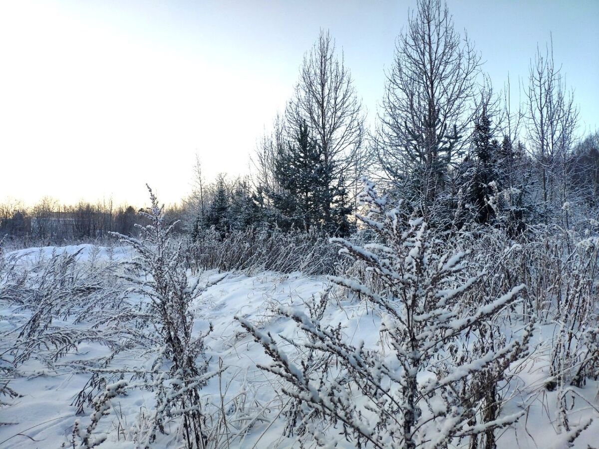 Местами до минус 27. Прогноз погоды в Карелии на 8 января