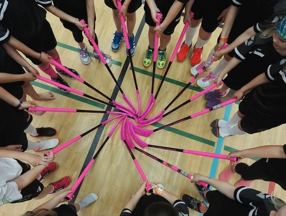 Сильнейшие флорболистки страны съедутся в Петрозаводск