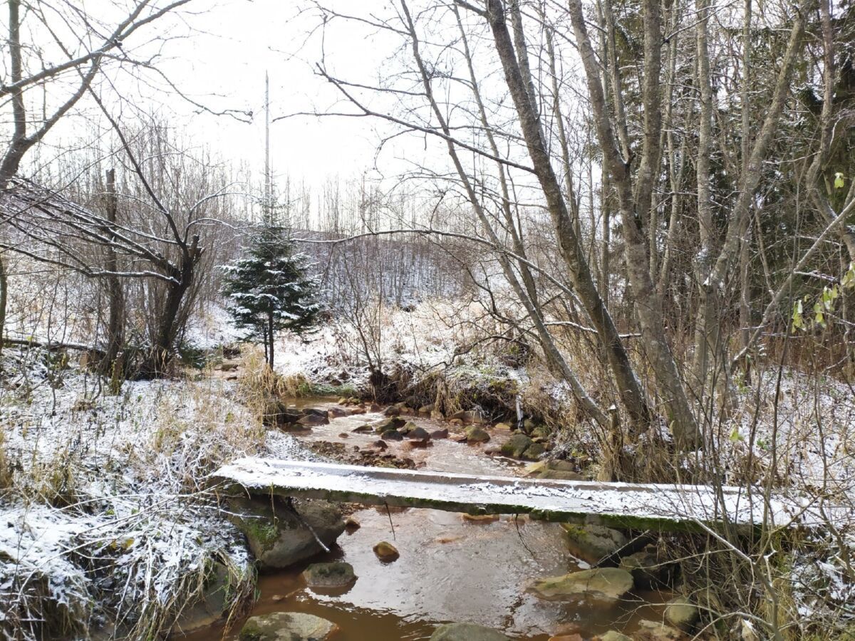 Мокрый снег обещают на севере Карелии. Прогноз погоды на 16 октября