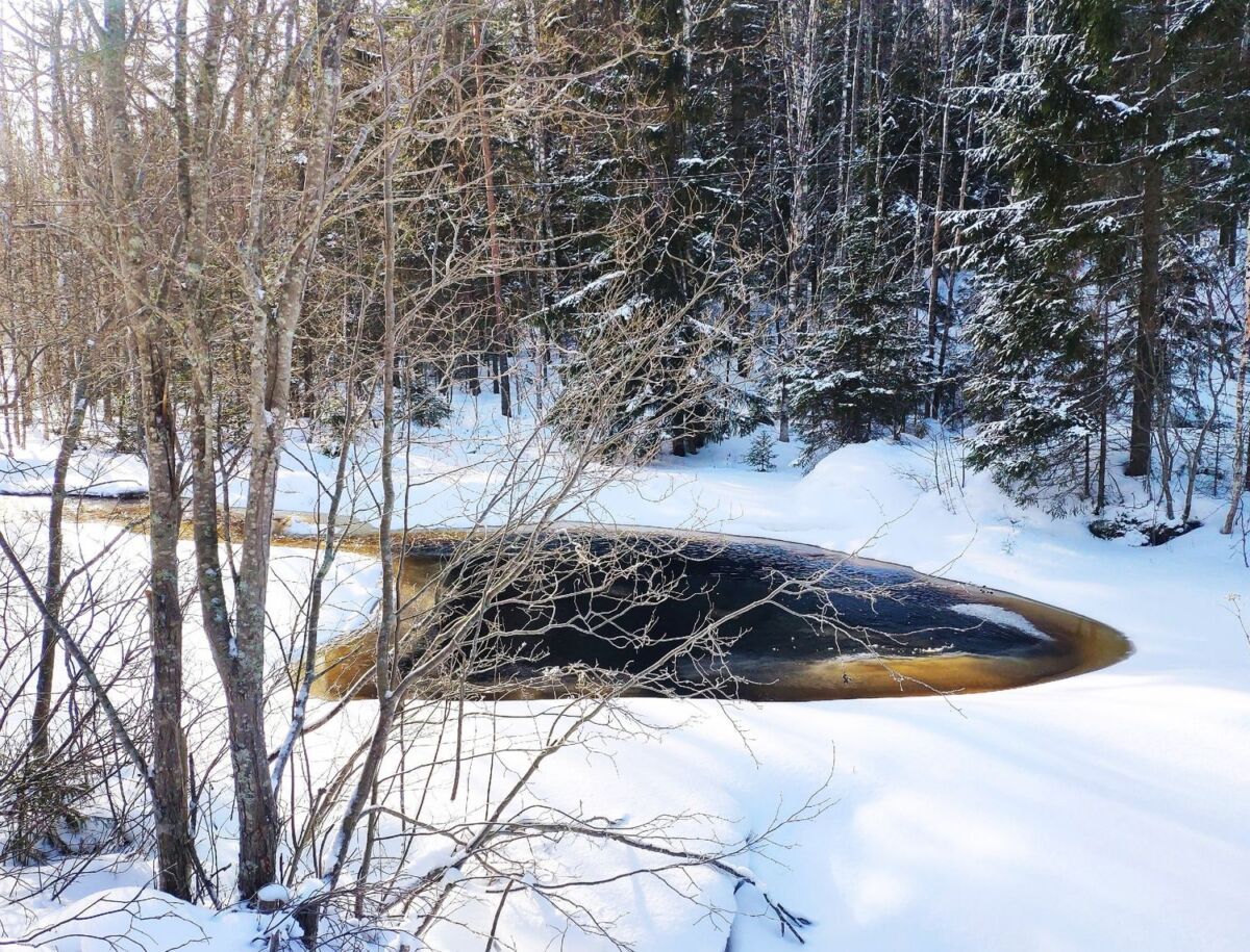 Пока не весна. Прогноз погоды в Карелии на 1 марта