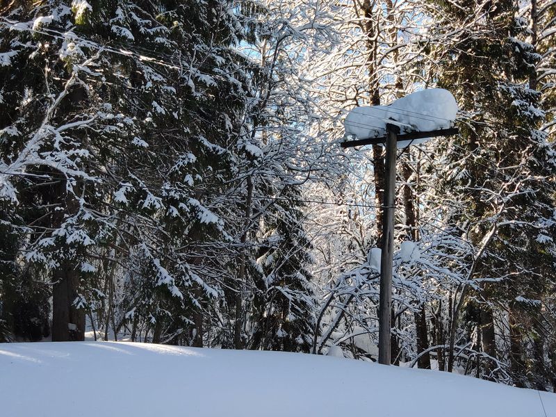 В Карелии на этой неделе ожидаются плановые отключения электричества
