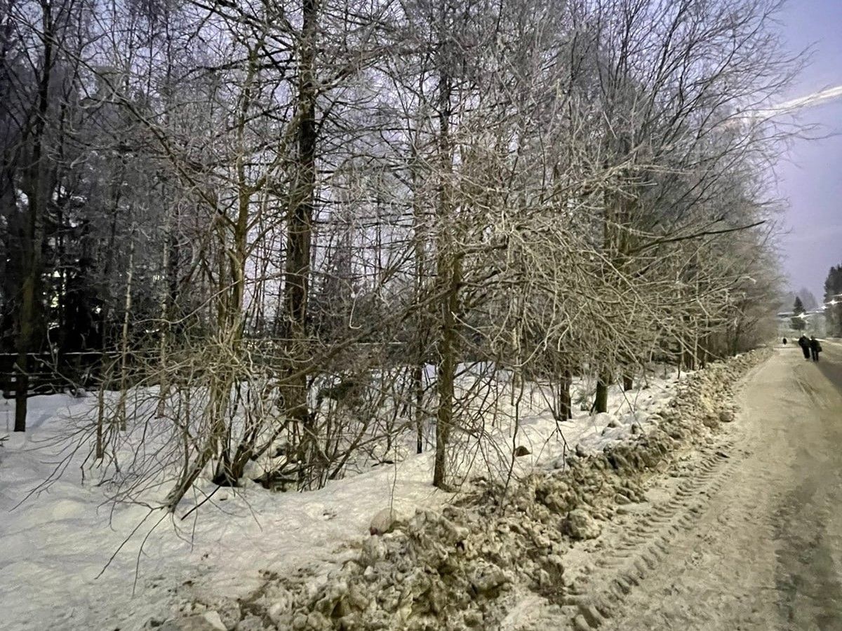 В Больничном городке Петрозаводска обустроят Докторскую аллею