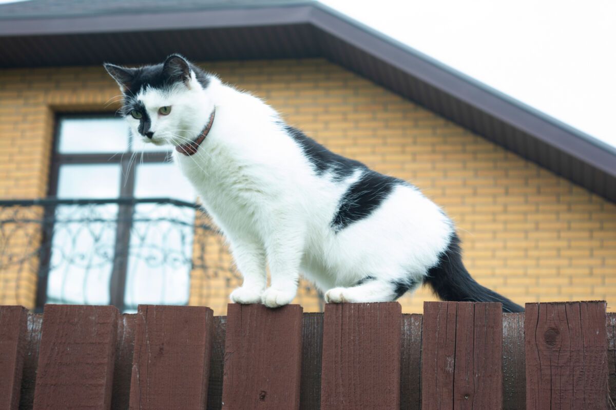 Качество жизни в российских регионах оценили РИА Новости