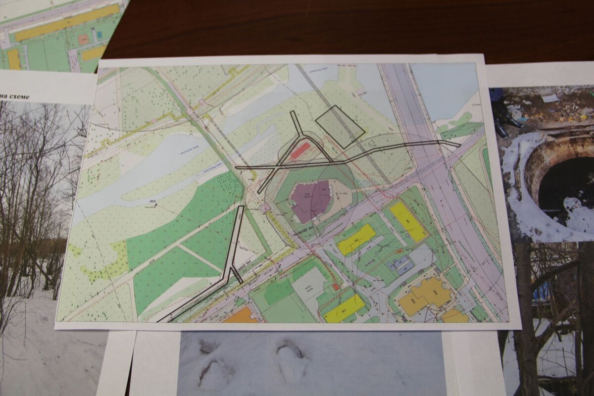 В Петрозаводске оборудуют новую площадку для выгула и дрессировки собак