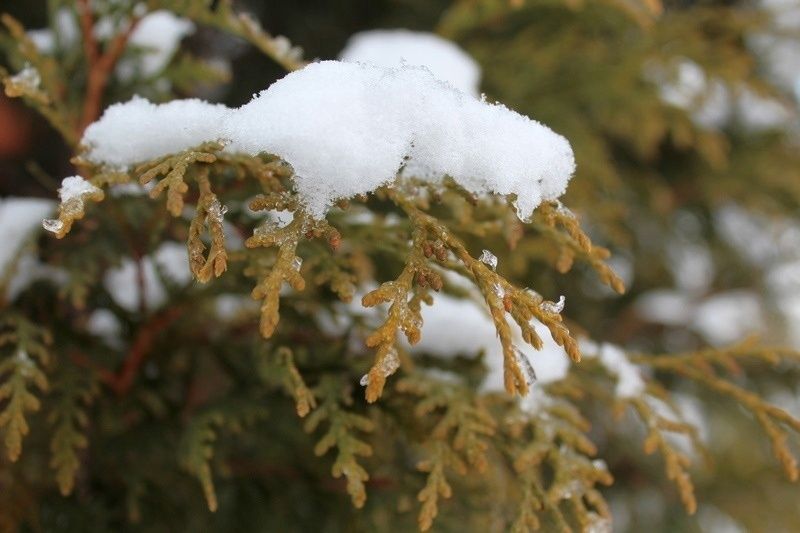 Небольшой снег и небольшой минус: прогноз погоды на 3 февраля