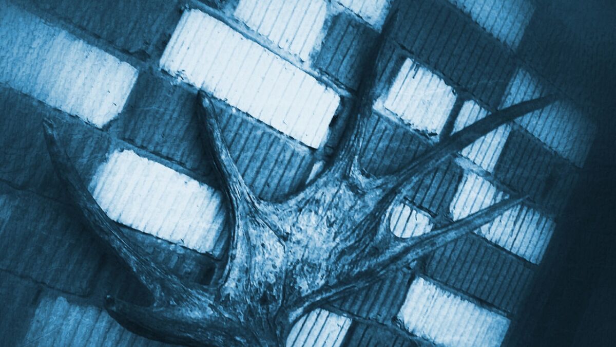 Обладателя рогов ограбили в Карелии