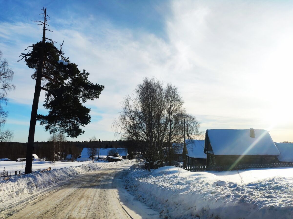 Россыпнов рассказал, что нужно делать жителям частных домов, чтобы платить меньше за свет