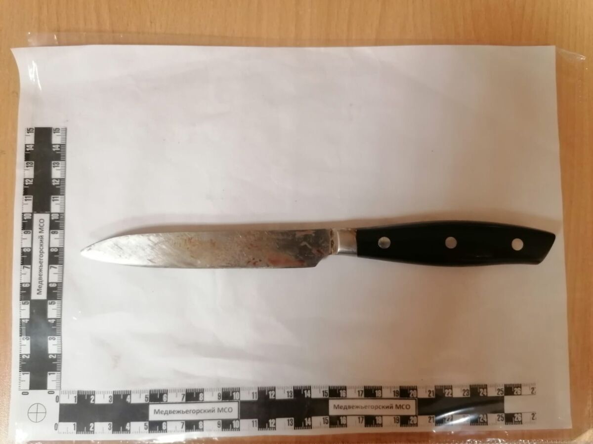Жительница Пудожа ударила ножом сожителя, а потом испугалась и вызвала «скорую»