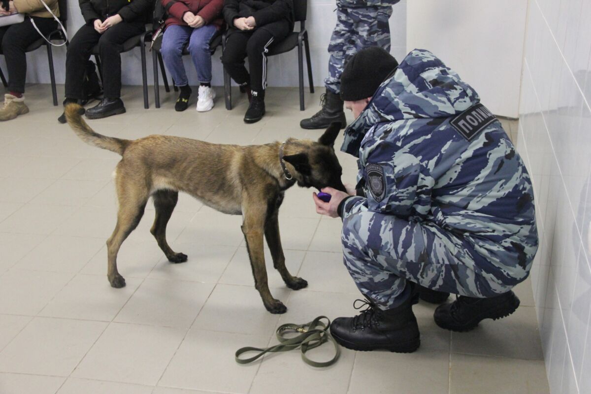 Карельских служебных собак привлекают к поиску потерявшихся детей